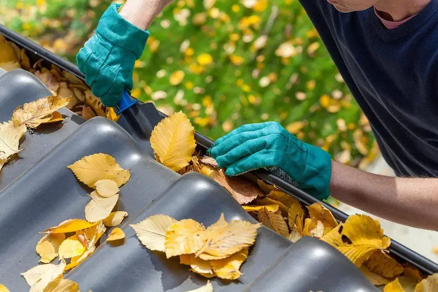 Residential gutter maintenance detail